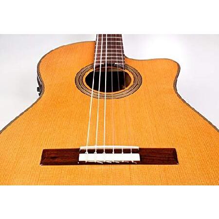 Cordoba Fusion 12 Natural CD Crossover Cutaway Acoustic-Electric Nylon String Guitar, Fusion Series｜nobuimport｜05