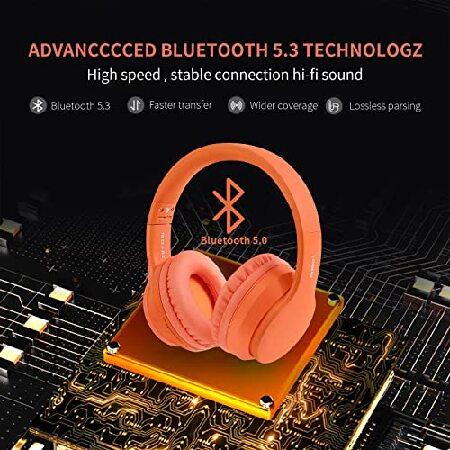 買い早割 LOBKIN Wireless Bluetooth Headphones， Over-Ear Headphones with Built-in HD Mic，40H Playtime， Foldable Wireless and Wired Stereo Headphones for Gym/PC/