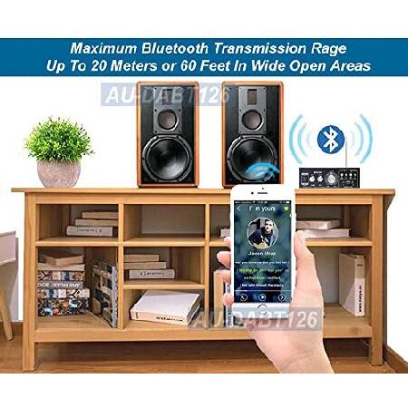 購入新商品 4-in-1 Stereo Amplifier FM Radio Bluetooh 5.0 Receiver MP3 Player with AUX USB MMC Card Inputs