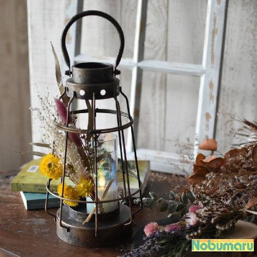 コーナー藤ランタン imgrc0082921800.jpg