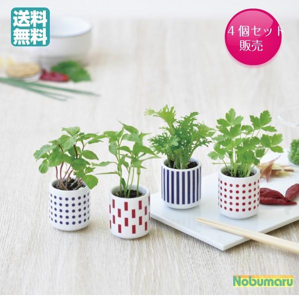 おちょこで薬味栽培セット ４個セット しそ 唐辛子 わさび菜 三つ葉 母の日 父の日 ギフト 送料無料 Gd0 01 Gd0 02 Gd0 03 Gd0 04