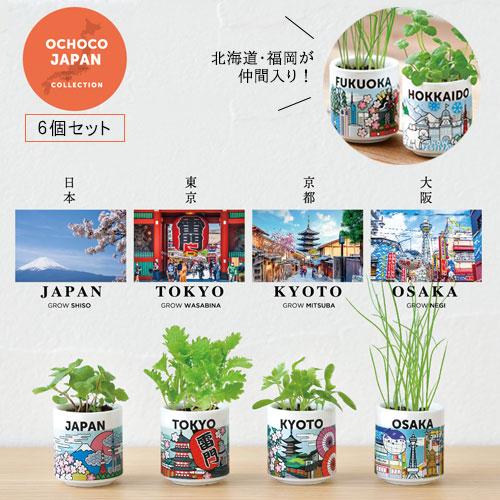 送料無料[GD997]お芽でたおちょこJAPAN 6個セット 栽培セット 東京