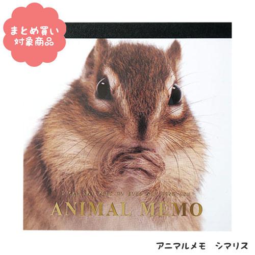 メール便 対象商品3 000円以上ご購入で送料無料 アニマルメモ シマリス T9025 １冊 包む 013 Ttm 0139 Nobumaru 通販 Yahoo ショッピング
