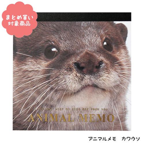 メール便 対象商品3 000円以上ご購入で送料無料 アニマルメモ カワウソ T9029 １冊 包む 013 Ttm 0141 Nobumaru 通販 Yahoo ショッピング