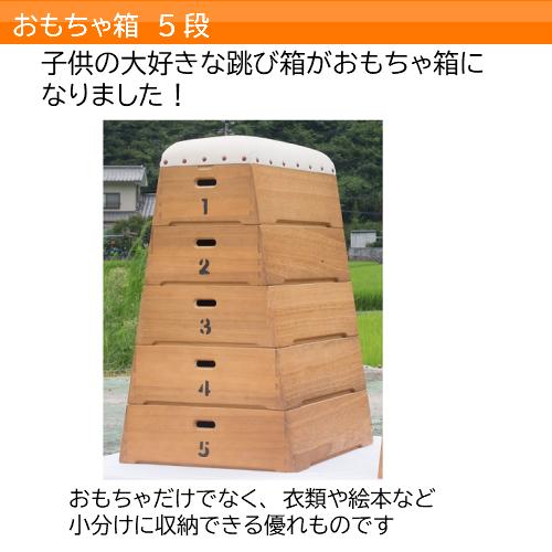TOBICOBACOトビコバコ 跳び箱型おもちゃ箱 5段 収納 ムサファ c002