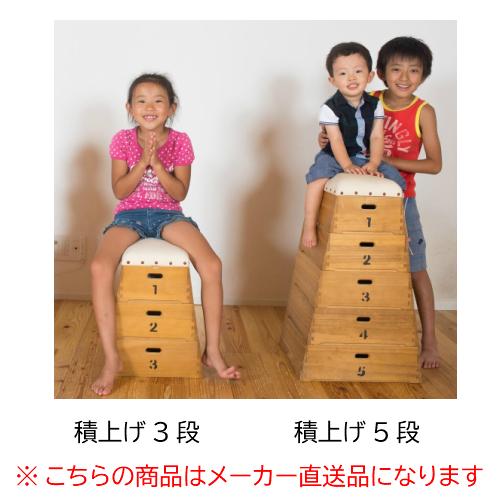 Rakuten Tobicobacoトビコバコ 跳び箱型おもちゃ箱 5段 収納 ムサファ C002 豊田産業 直送品 公式 Kuljic Com