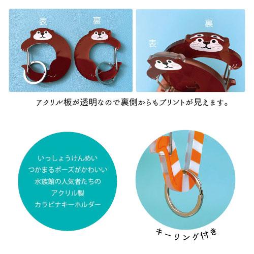 アクリルカラビナキーホルダー カワウソ アザラシ チンアナゴ