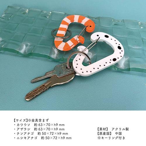 アクリルカラビナキーホルダー カワウソ アザラシ チンアナゴ