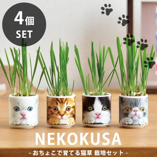 送料無料】GD-1029 おちょこで猫草4個セット 猫 健康 栽培セット 聖新