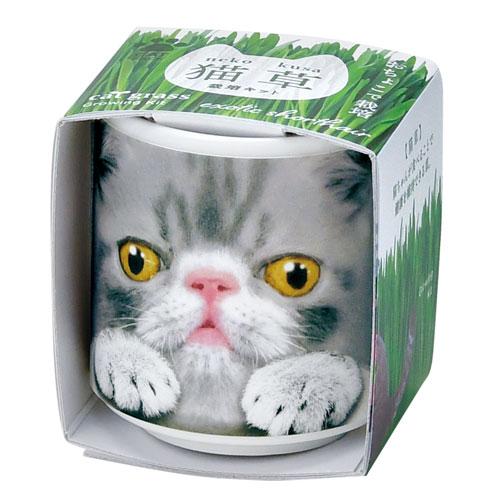 送料無料】GD-1029 おちょこで猫草4個セット 猫 健康 栽培セット 聖新