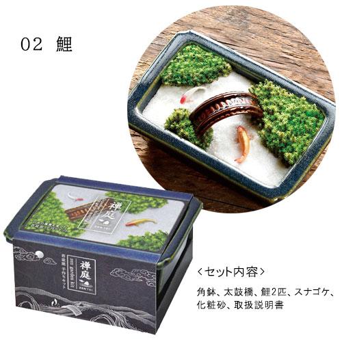 2点以上同時購入で送料無料 禅庭 スナゴケ 栽培セット 日本庭園 苔 砂