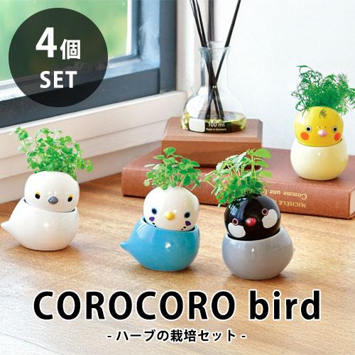 送料無料】GD-1053 COROCORO bird 4個セット コロコロバード ハーブ