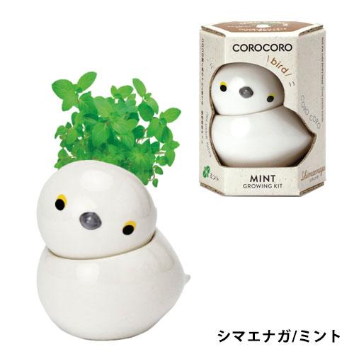 送料無料】GD-1053 COROCORO bird 4個セット コロコロバード ハーブ