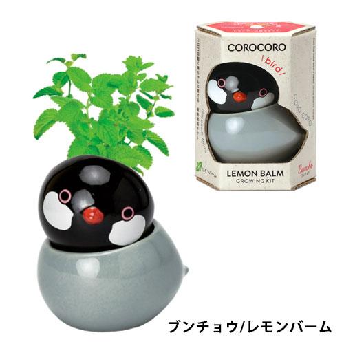 送料無料】GD-1053 COROCORO bird 4個セット コロコロバード ハーブ