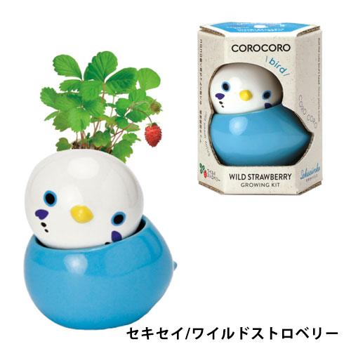送料無料】GD-1053 COROCORO bird 4個セット コロコロバード ハーブ