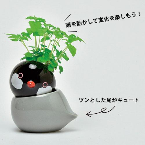 送料無料】GD-1053 COROCORO bird 4個セット コロコロバード ハーブ