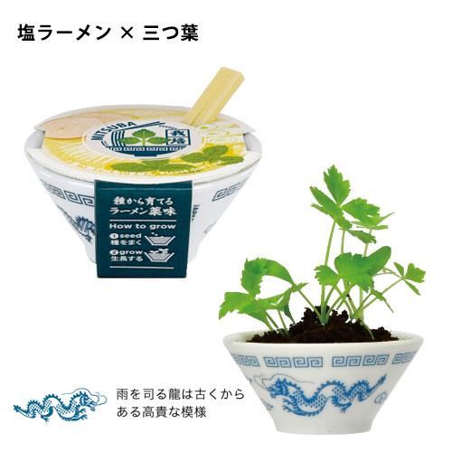 送料無料】GD-1059 ラーメン薬味栽培キット 4個セット ミニミニサイズ