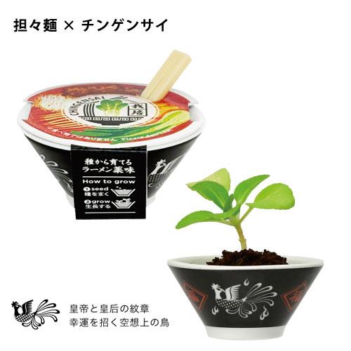 送料無料】GD-1059 ラーメン薬味栽培キット 4個セット ミニミニサイズ
