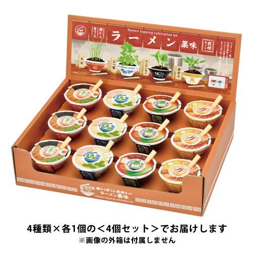 送料無料】GD-1059 ラーメン薬味栽培キット 4個セット ミニミニサイズ