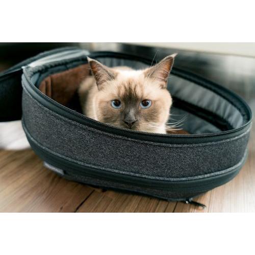 送料無料】EGGYリュック型猫ハウス ダークグレー ライトグレー ペット