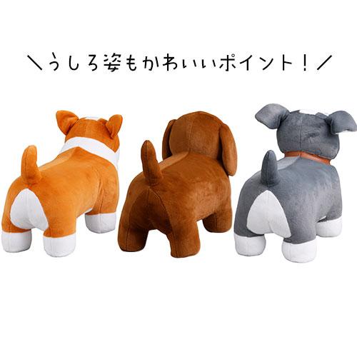 バディ・ドッグスツール アビテ ワンちゃん コーギー ダックスフンド
