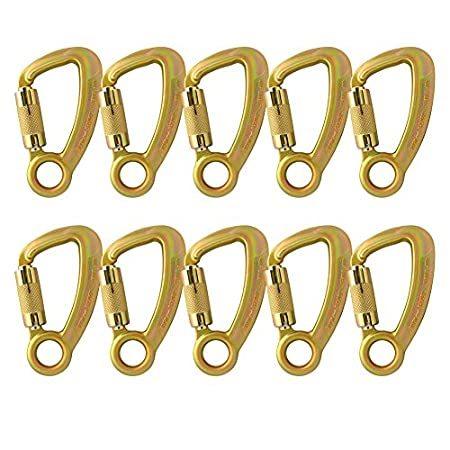 高い素材 Fusion リバティスチールオートロックキャプティブアイ 高強度カラビナ10パック Climb 登山 クライミング用品 Oyostate Gov Ng