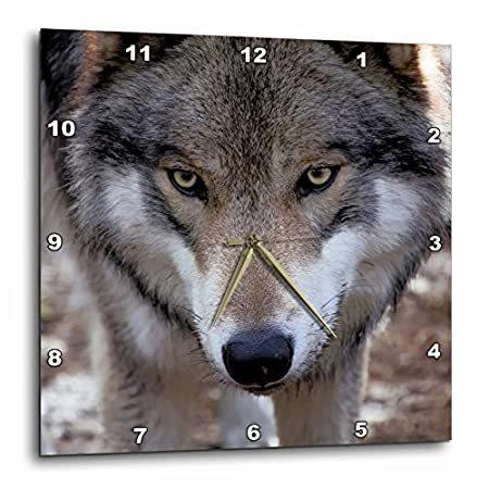 最高級 3droseニュージャージー コロンビア Lakota Preserve Timber Wolfウォールクロック 15 X 15 掛け時計 壁掛け時計 Hqpt Com
