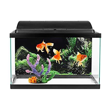 大きな取引 Amonida 水族 オフィス アクアリウム 家庭 色あせない 非反射 ステッカー 水族館 水族館 アクアリウムステッカー アクアリウム背景ステッカー レイアウト用品