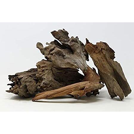 激安買い 5 Pcs Luthu Random Natural Aquarium Driftwood 6 To 10 Fish Tanks Ter 安い販促品 Murad Com Jo