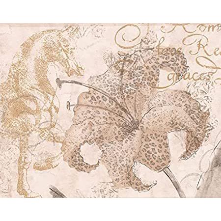 Concord Wallcoverings 壁紙 ボーダー グラフィティパターン ゼブラ柄 壁紙 ヒョウ柄 壁紙 ヒョウ柄 ベージ 花