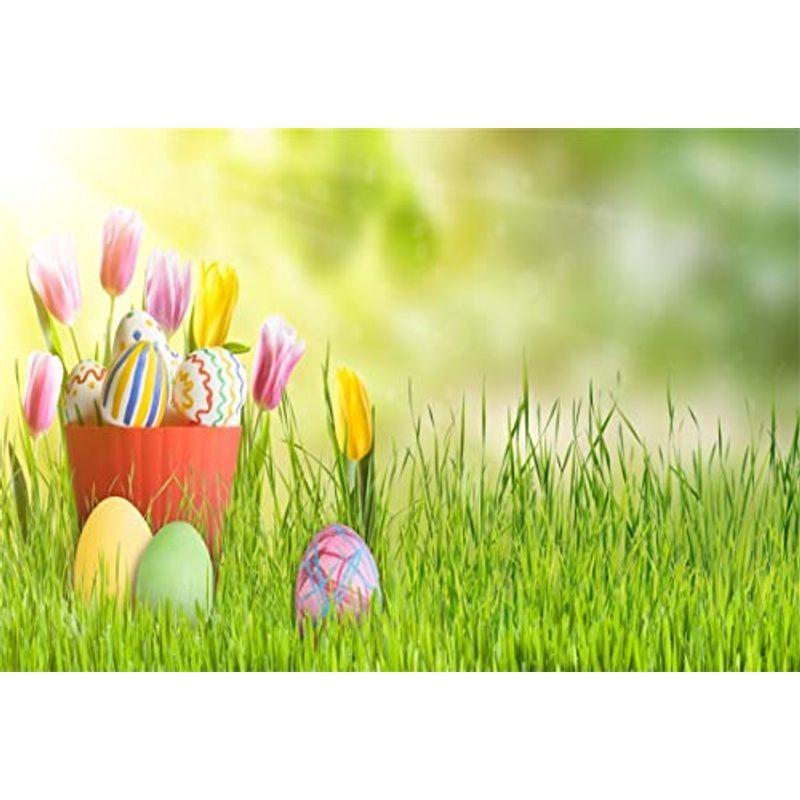 Qinunipoto イースターエッグ 写真撮影用 イースター 背景布 撮影 背景 布 写真 卵 撮影用 人物 草原 緑の背景 たまご 商業 セール 登場から人気沸騰