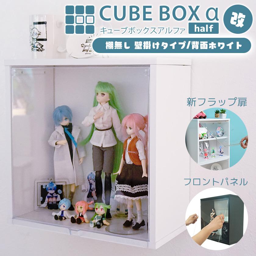 壁掛け キューブボックスα 改 新フラップ扉 or フロントパネル 背面