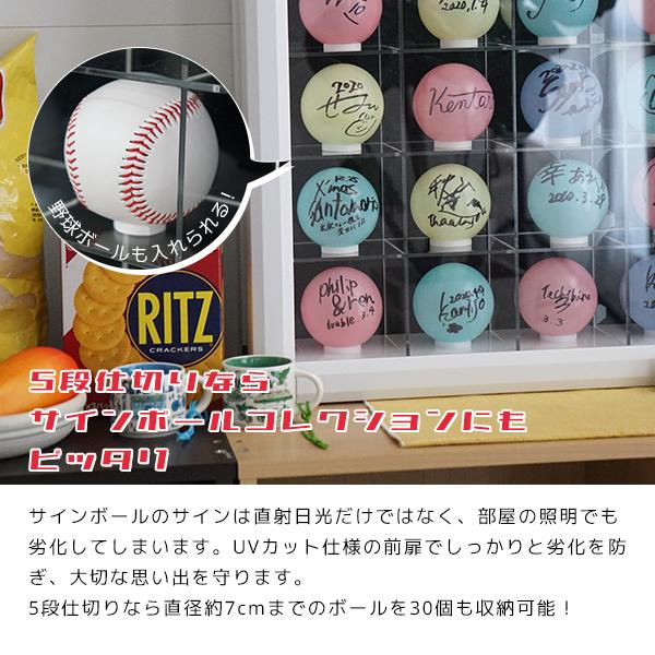 ミニカーディスプレイ 仕切5段 スタンドタイプ / サインボール