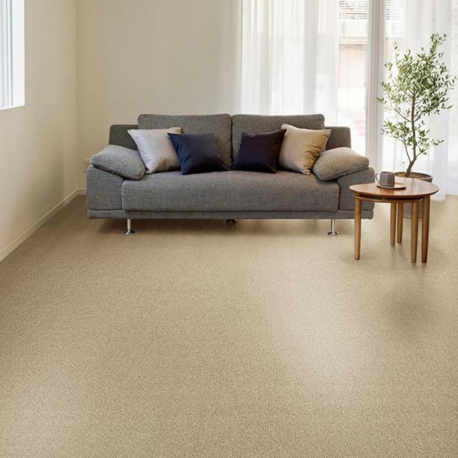 カーペット 3畳 厚手 安い 北欧 おしゃれ 日本製 江戸間 ラグマット 防ダニ 176×261cm PRV | スミノエ | 18