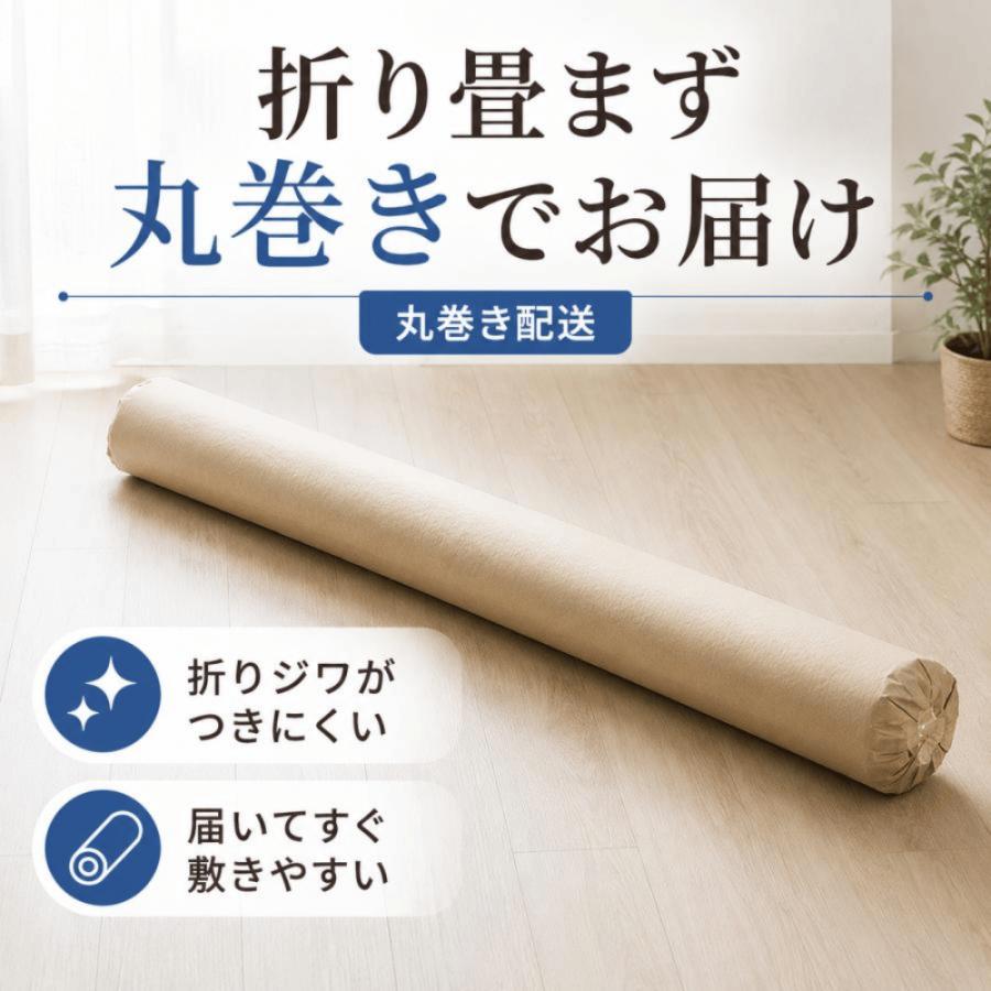 カーペット 10畳 厚手 変形加工代金込み 安い 北欧 おしゃれ 日本製 無地 ラグマット 352×440cm PRV | スミノエ | 22