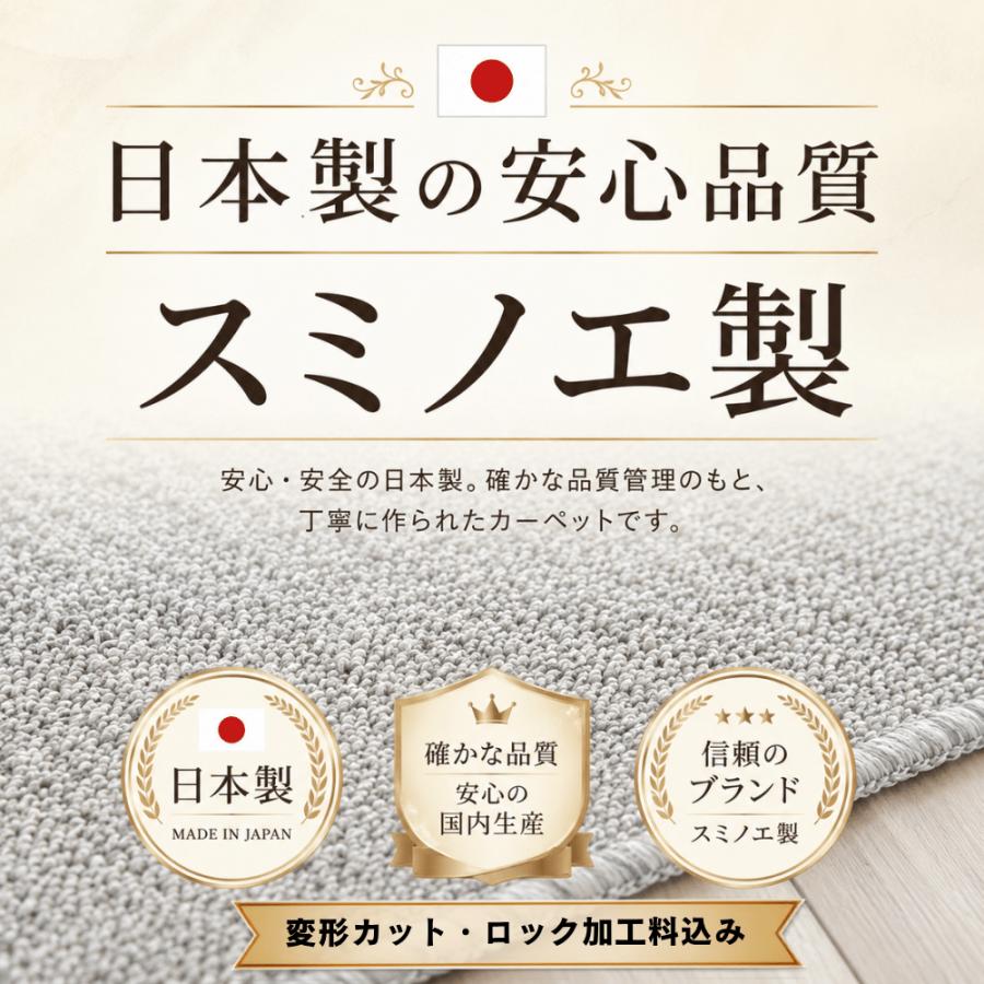 カーペット 10畳 厚手 変形加工代金込み 安い 北欧 おしゃれ 日本製 無地 ラグマット 352×440cm PRV | スミノエ | 12