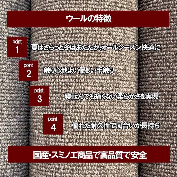 カーペット 6畳 安い 江戸間 防ダニ 北欧 おしゃれ 厚手 ウール 日本製 絨毯 261x352 WRC｜nodac｜02