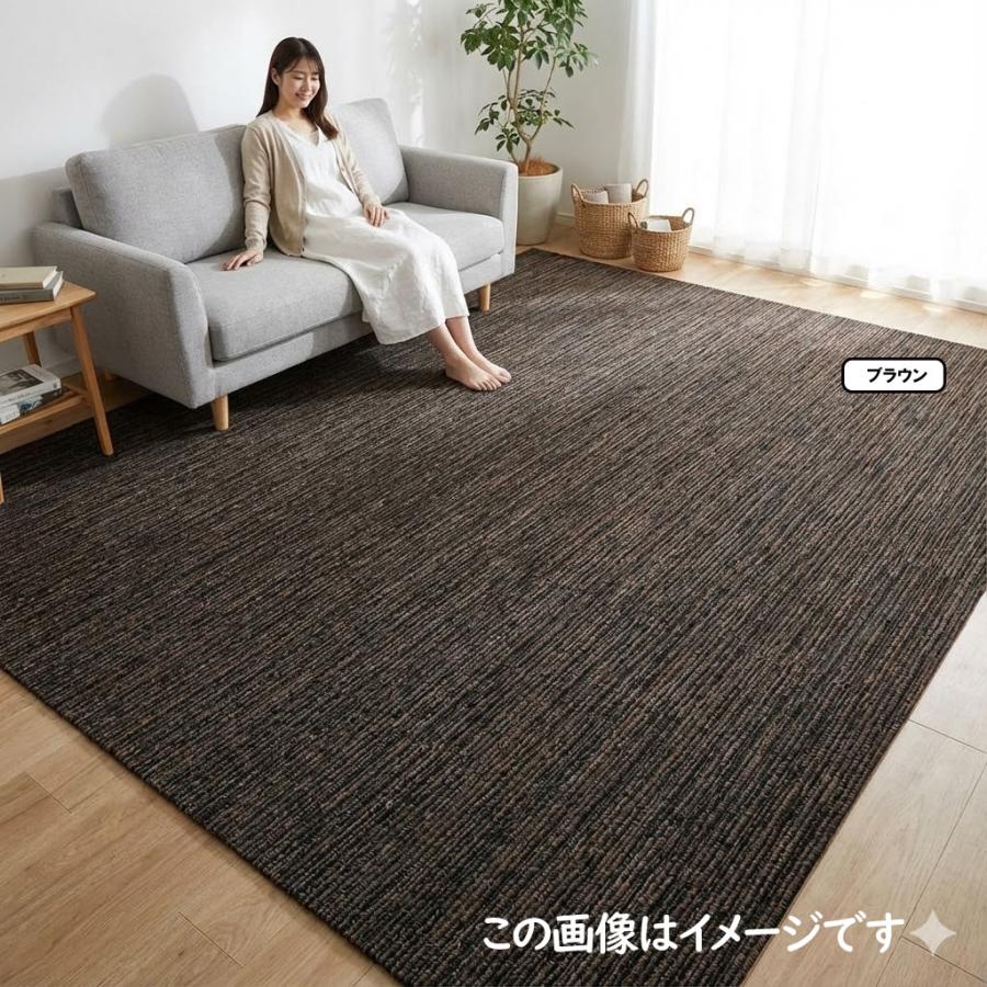 カーペット 3畳 厚手 防音 防ダニ 日本製 北欧 おしゃれ 絨毯 VILシリーズ VILEJ30 | スミノエ | 14