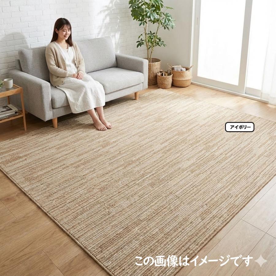 カーペット 3畳 厚手 防音 防ダニ 日本製 北欧 おしゃれ 絨毯 VILシリーズ VILEJ30 | スミノエ | 12