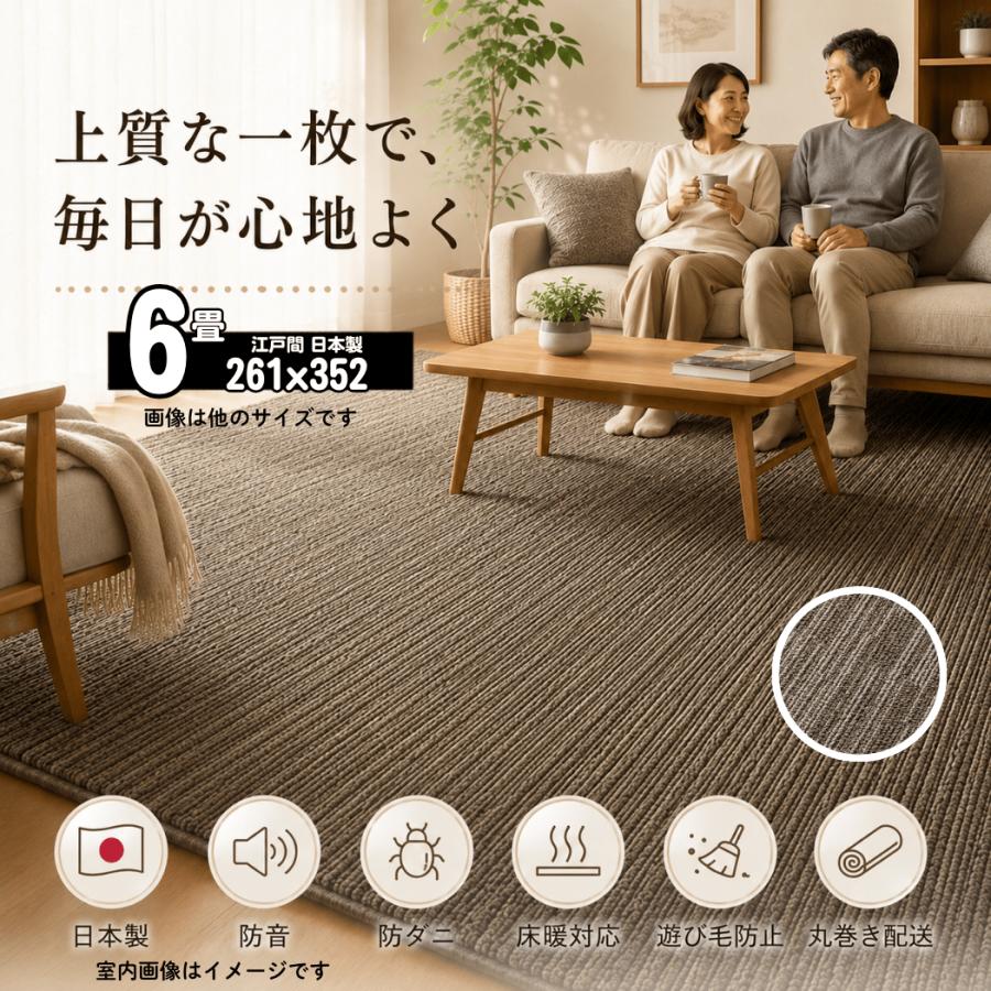 スミノエ カーペット 6畳 厚手 防音 防ダニ 日本製 床暖対応 ホット