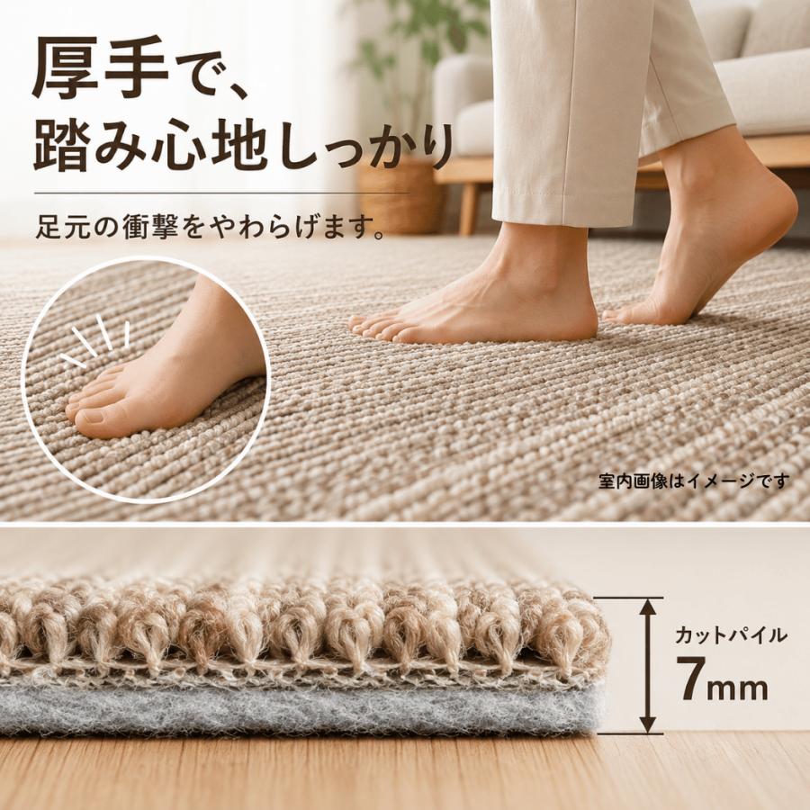 スミノエ カーペット 6畳 厚手 防音 防ダニ 日本製 床暖対応 ホット
