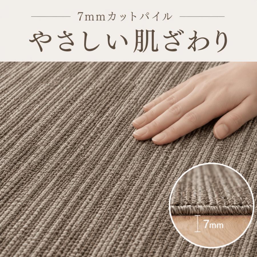 スミノエ カーペット 6畳 厚手 防音 防ダニ 日本製 床暖対応 ホット