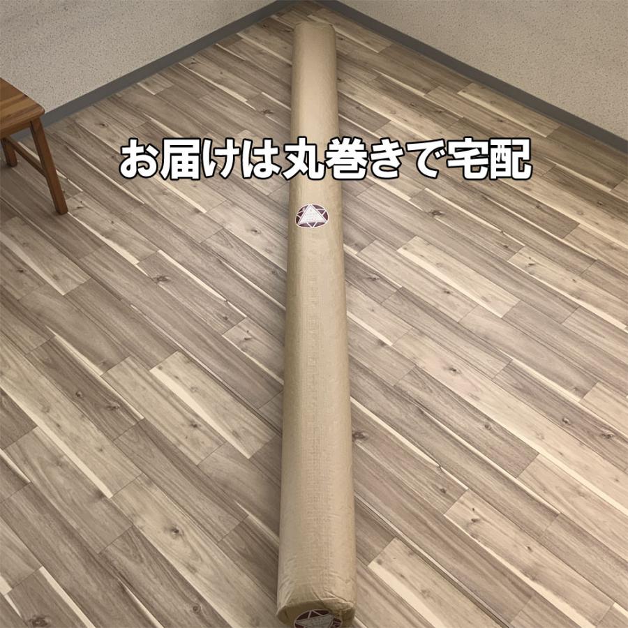 カーペット 4畳半 安い フワフワ 防ダニ 北欧 おしゃれ 厚手 日本製 冬用 ホームシェル | スミノエ | 15