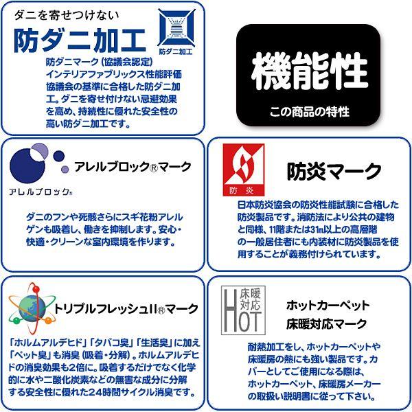 ラグ 4畳半 カーペット おしゃれ 北欧 オールシーズン 絨毯 厚手 シャギー 日本製 261×261cm BLXF | スミノエ | 08