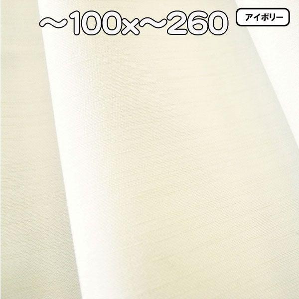 オーダーメード カーテン おしゃれ 安い 巾〜100x丈〜260 1枚 NOCHE(ノーチェ)_1
