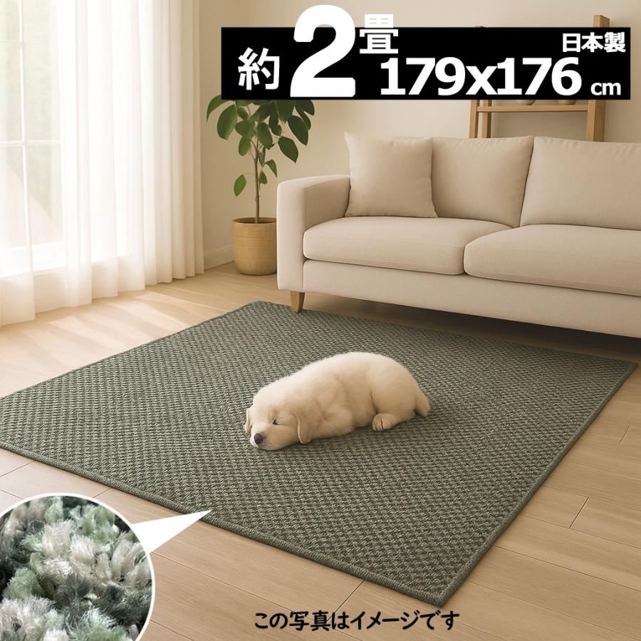 ラグ 2畳 カーペット 厚手 北欧 防ダニ 日本製 ホットカーペット 床暖房対応 おしゃれ 179×176cm Pixela | スミノエ