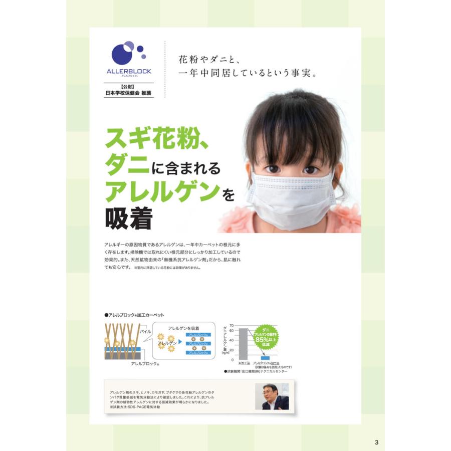 カーペット 3畳用 厚手 防音 ふわふわ おしゃれ 冬 オールシーズン ラグマット リビング対応 Polc | スミノエ | 23