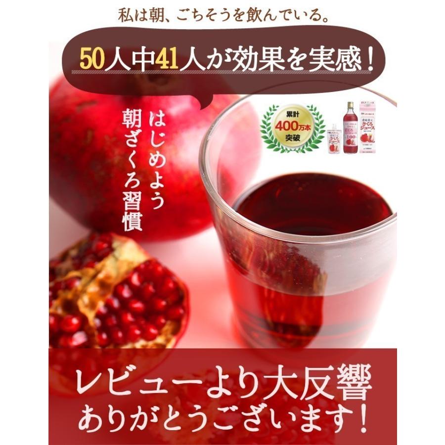 野田ハニー ざくろジュース100％(濃縮還元) 1000ml ザクロ 柘榴 ざくろ