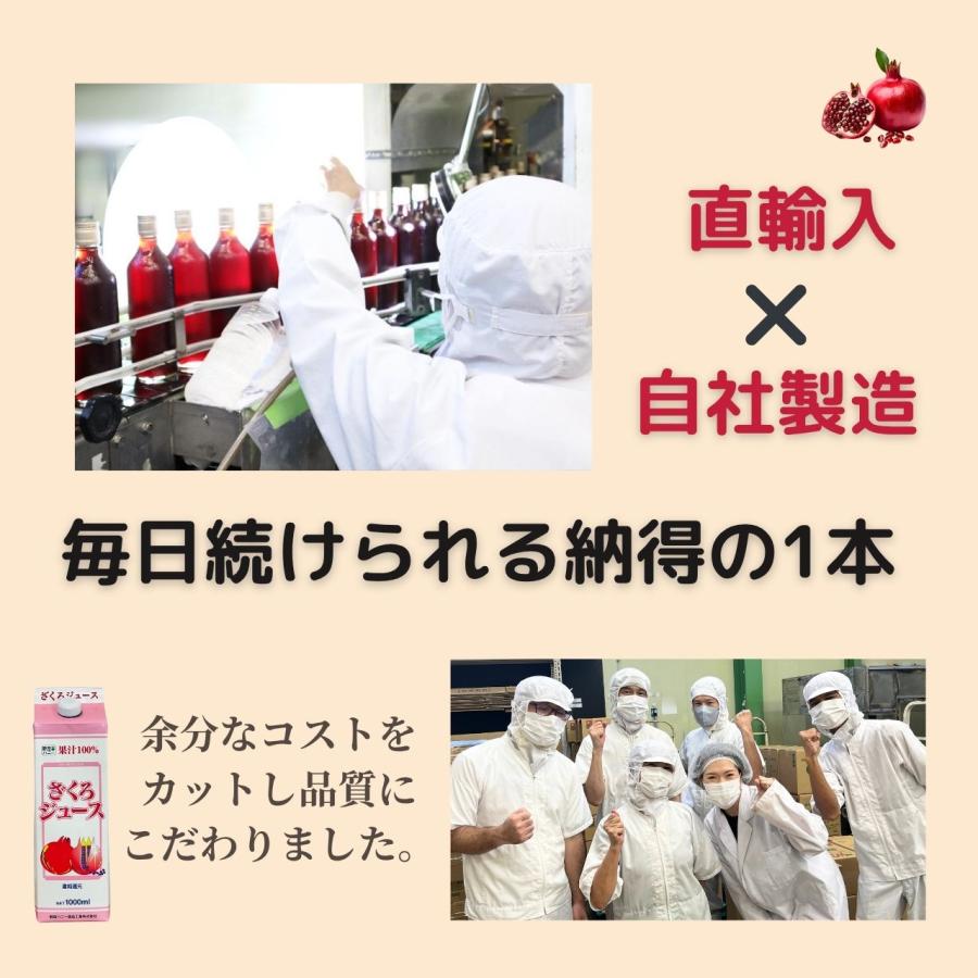 ざくろジュース100％(濃縮還元)1000ml×12本 無添加 ザクロジュース