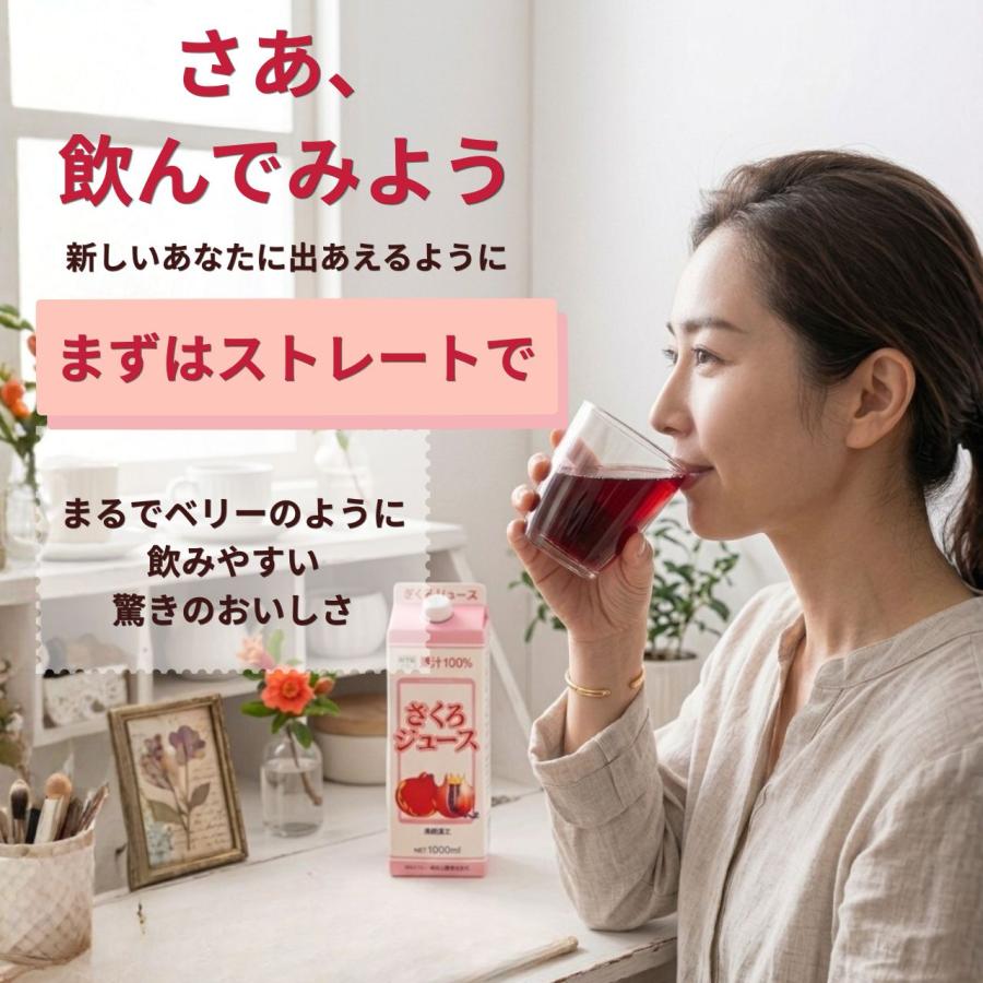 モカザクロジュース12本入　野田ハニー ざくろジュース100％(濃縮還元)1000ml×12本 無添加 ザクロジュース